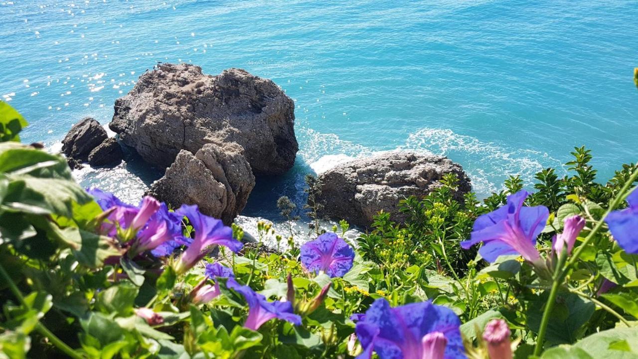 Baviera Hills Holiday Apartment Caleta De Velez Dış mekan fotoğraf